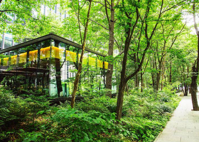 Aman Tokyo in the lush green nature at the base of the Otemachi Tower.